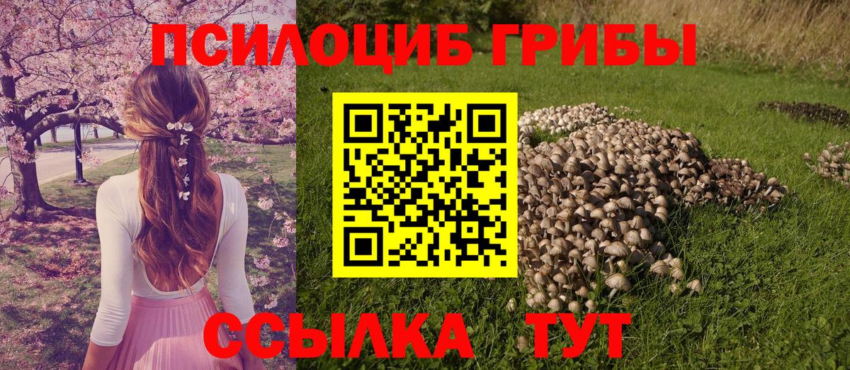 Реж  Галлюциногенные грибы Cubensis  Вход с VPN 